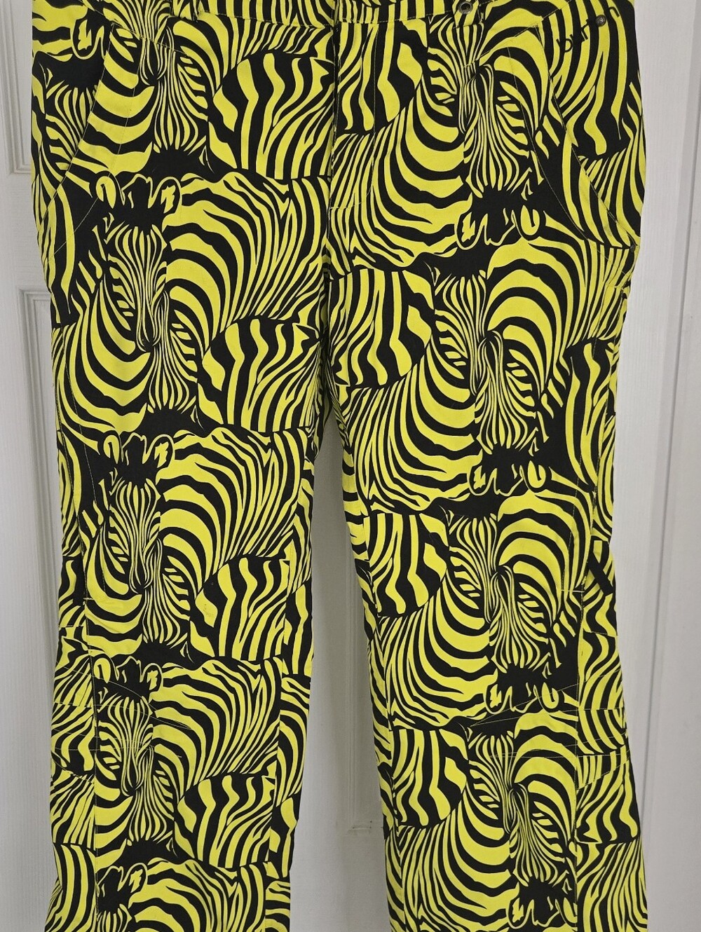 Burton Ski/Snowboarding Pants